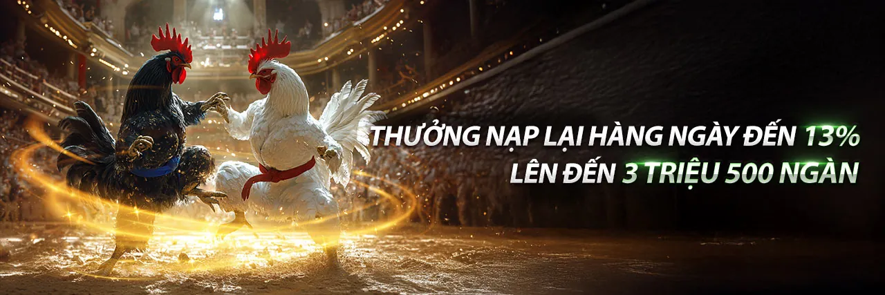 Sân chơi cá cược đá gà ac888 trực tuyến với các trò chơi casino hấp dẫn